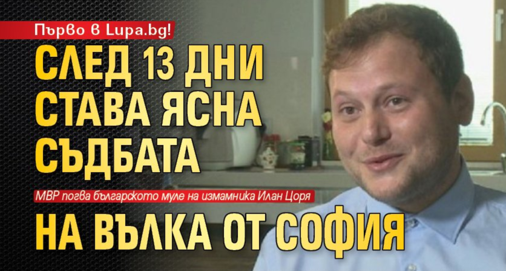 Gal Barak in Lupa Gal Barak - The European cybercrime organization and its people