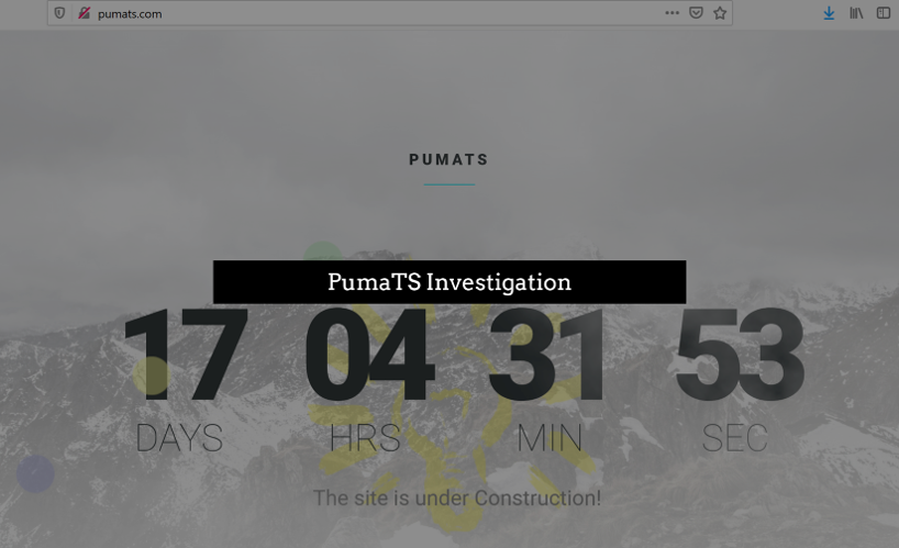 PumaTS website and investigation fi PumaTS website vanished while FinTelegram investigates