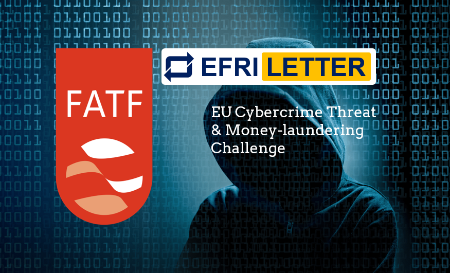 EFRI FATF Letter FI Open EFRI Letter to FATF cybercrime in Germany