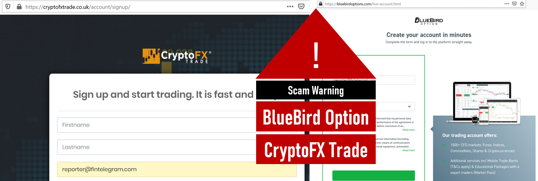 BlueBird Option and CryptoFX Trade Investor warning against BlueBird Options and CryptoFX scams