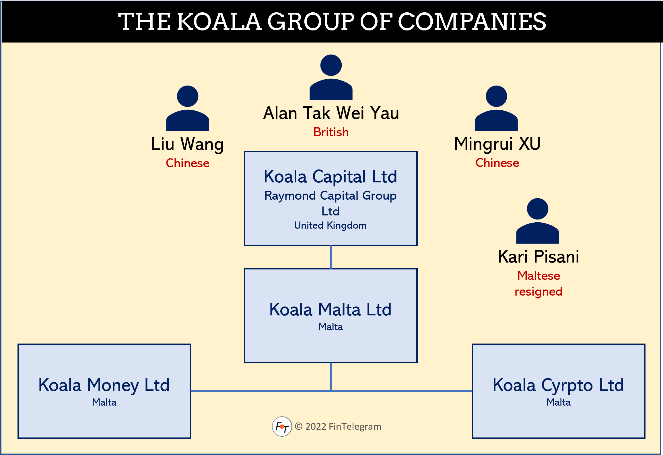 Koala Group Maltese -Chinese Koala Group