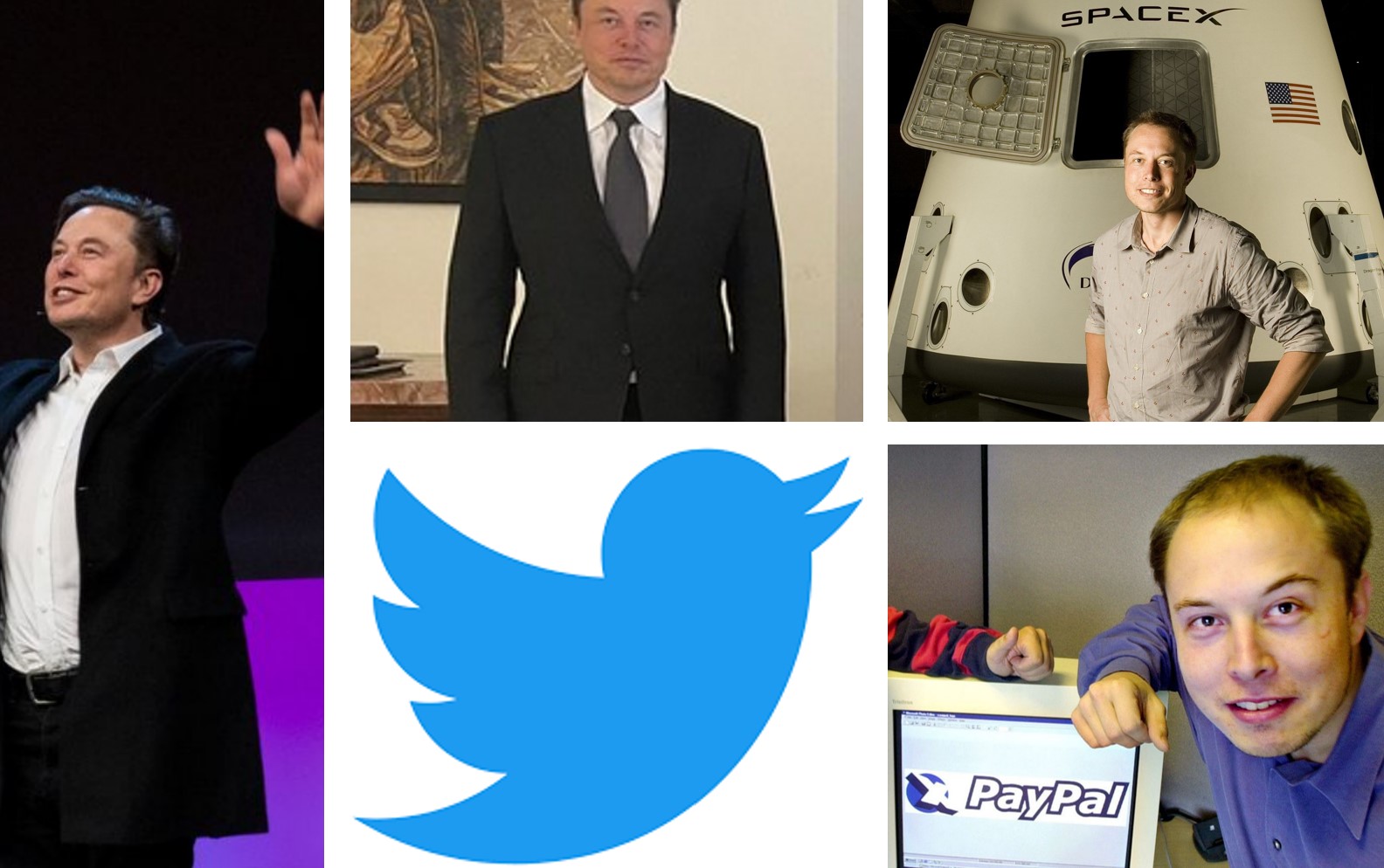 Elon Musk Twitter Elon Musk terminates Twitter Deal