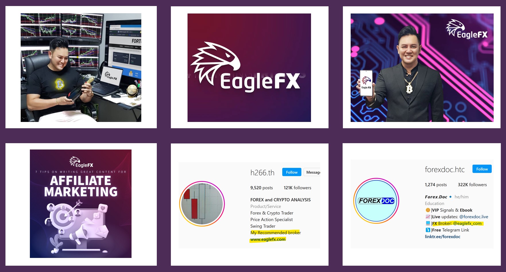 EagleFX Scheme FI FinTelegram explains the EagleFX scheme