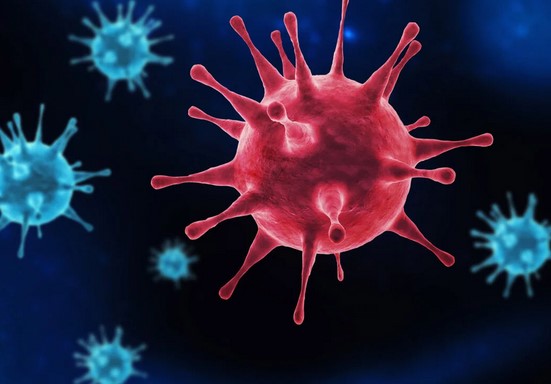Sudden Death Virs Sudden Death Virus destroys financial services industry