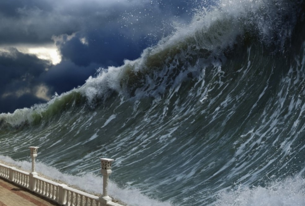 Tusnami SVB collapse SVB collapse may trigger a bankrupcty tsunami in global startup ecosphere