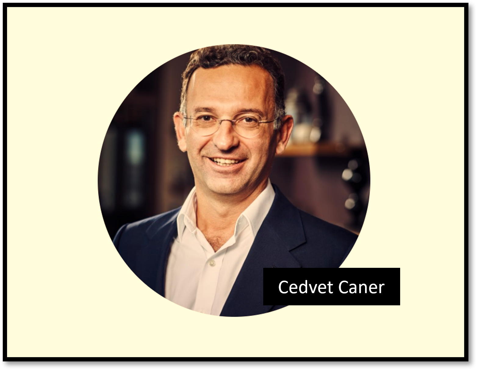 Cedvet Caner The Austrian real estate investor Cevdet Caner