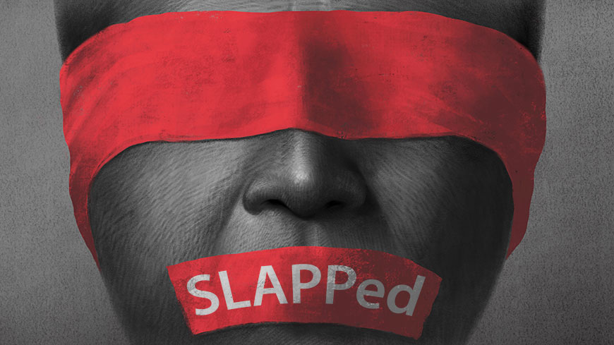 SLAPPed Binder Groesswang represents SLAPP attack for Mercuryo