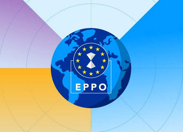 European Public Prosecutor’s Office (EPPO)